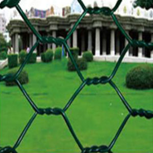 Hexagonal Wire Netting